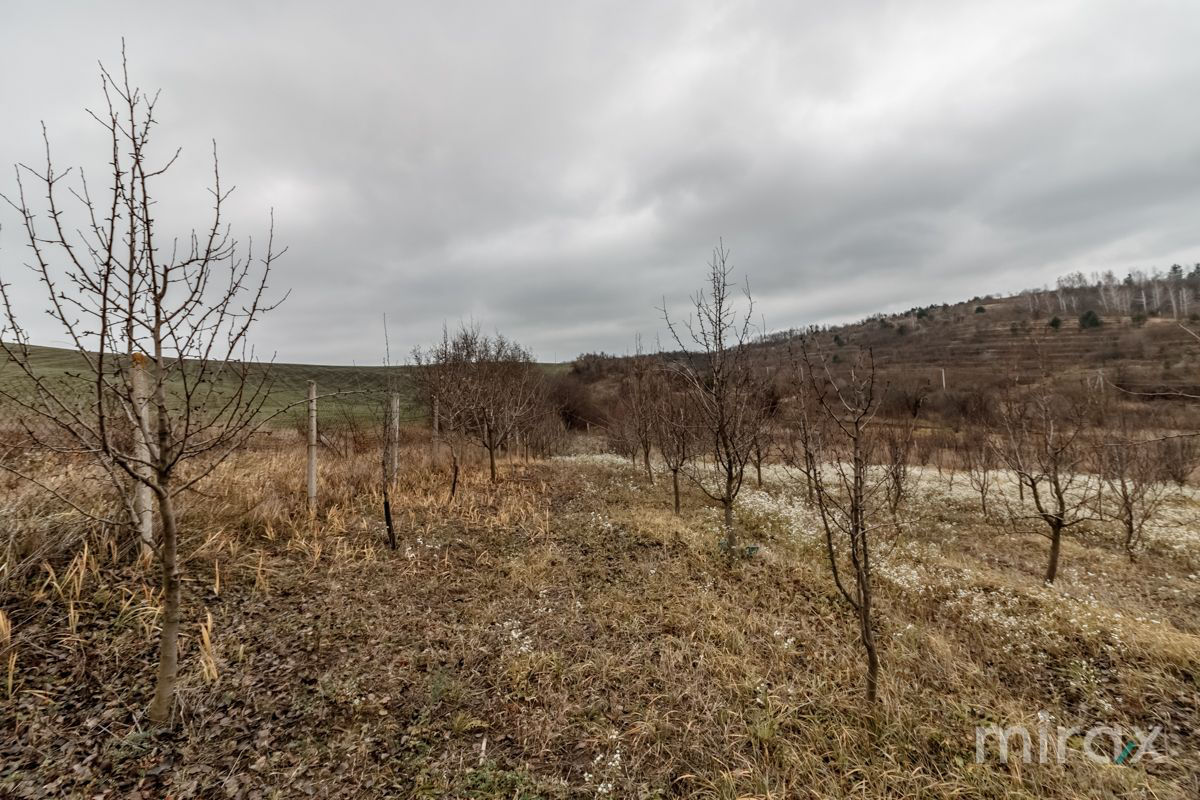 Se vinde Teren pentru construcții în s. Peresecina, zona de vile "La Chiperi", lângă padure! foto 5