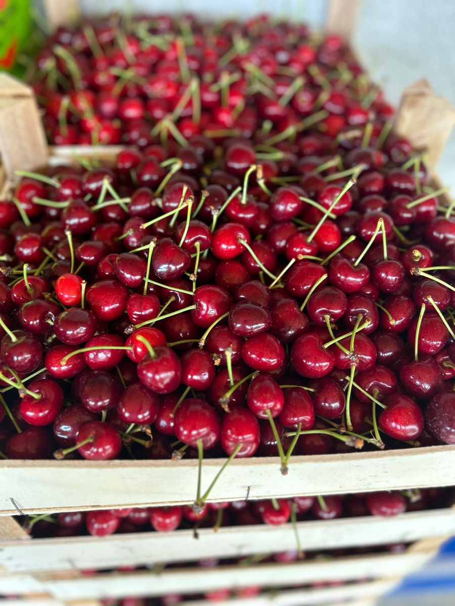 Cumpărăm fructe pentru export (Cireșe, caise, visine, prune)   foto 0