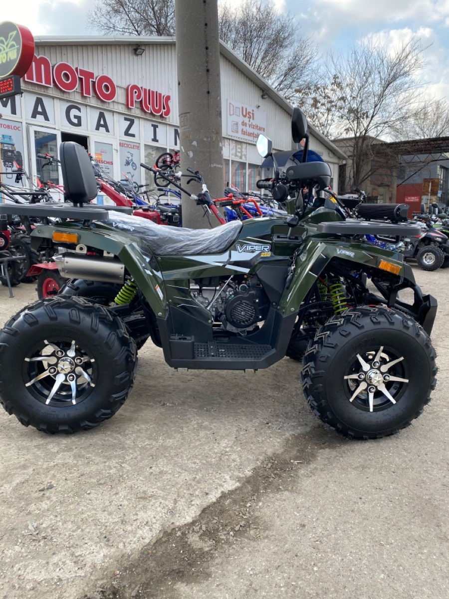 Viper 250 foto 2