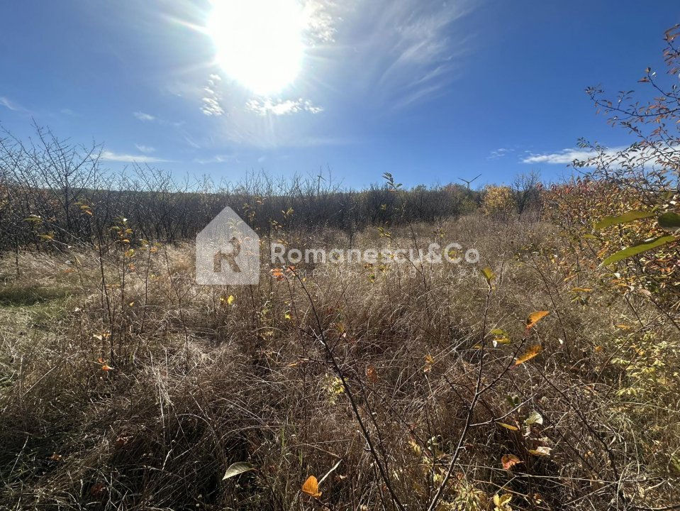 Teren pentru construcții de vânzare în Trușeni!
