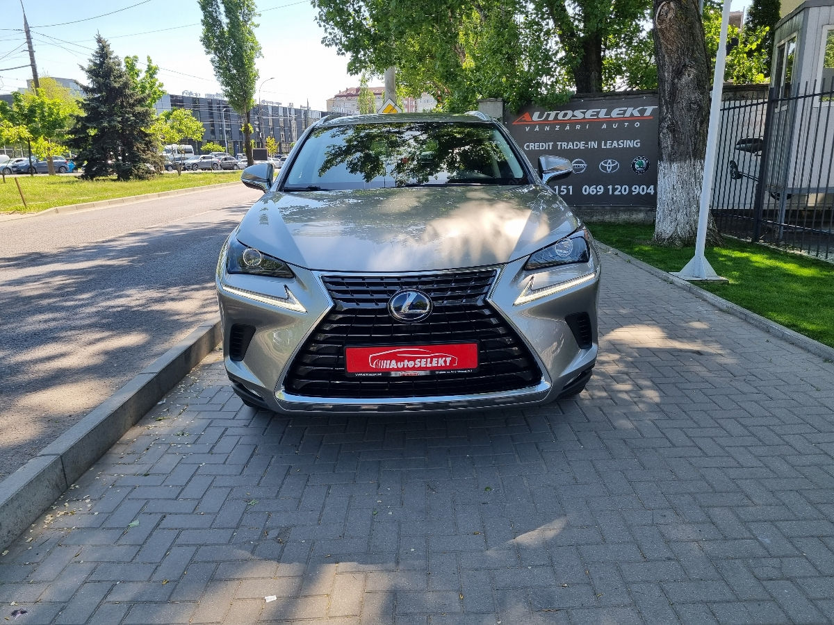 Lexus NX Series 2018 photo 2