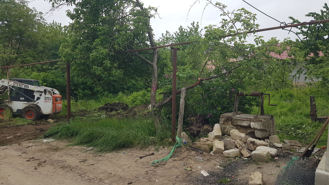 Servicii de curățare terenuri foto 6