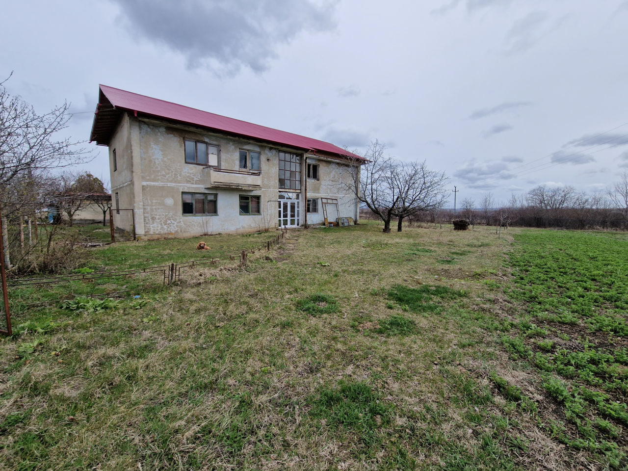 Ferma de pesti Romania foto 6