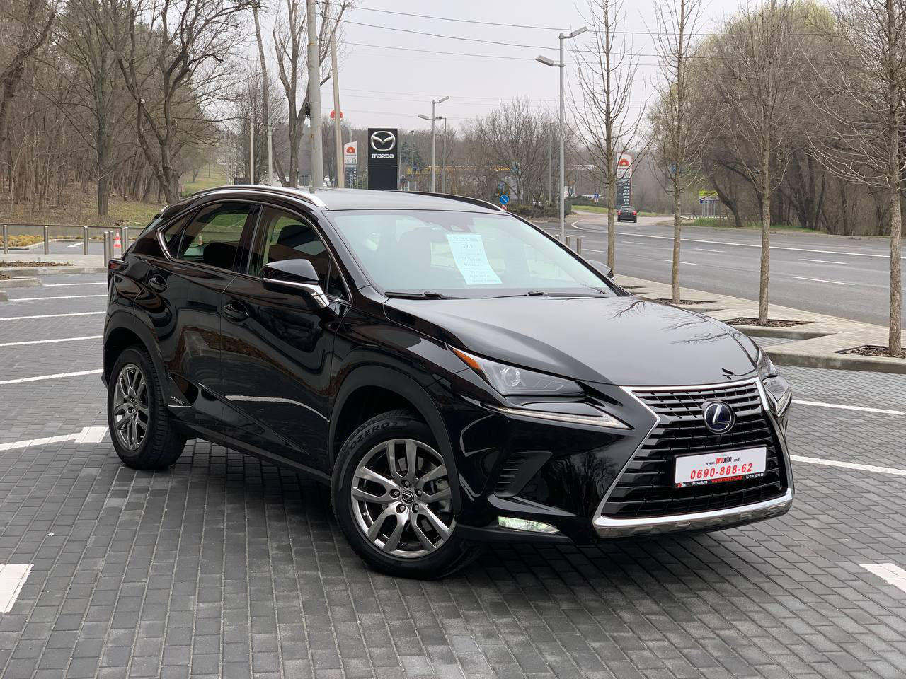 Lexus NX Series фото 1