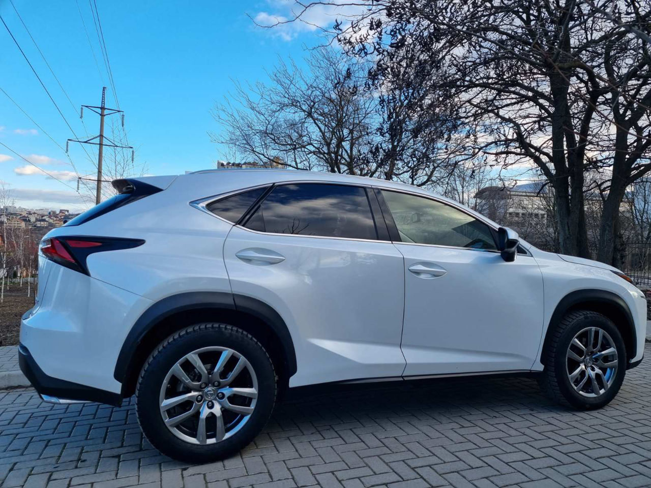 Lexus NX Series foto 1