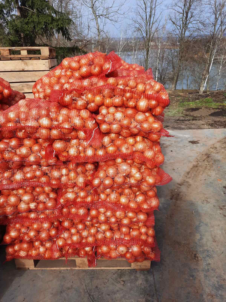 Cumpăr ceapa in cantități mari foto 2