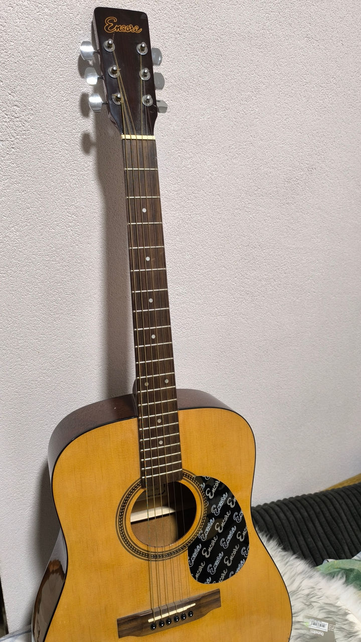 Washburn и Encore foto 2