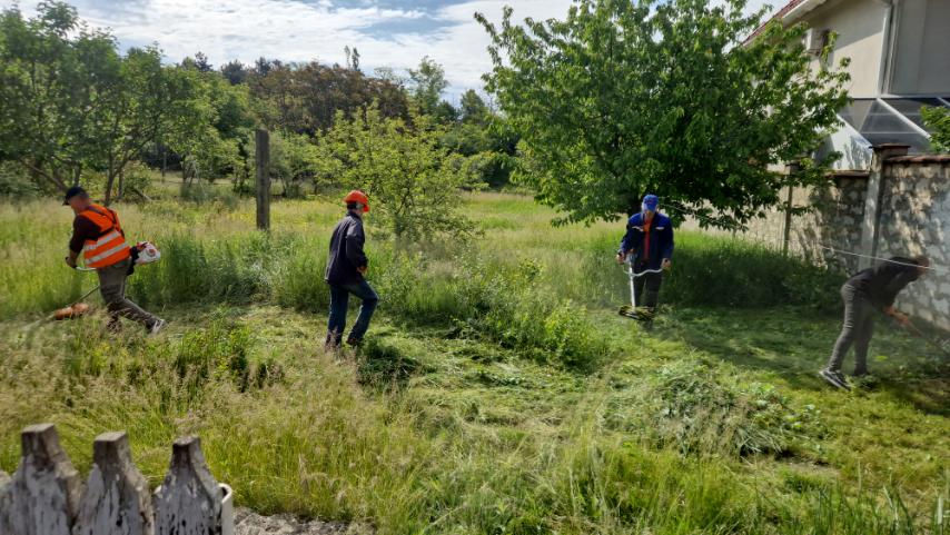 Servicii de curățare și întreținere a terenurilor foto 0