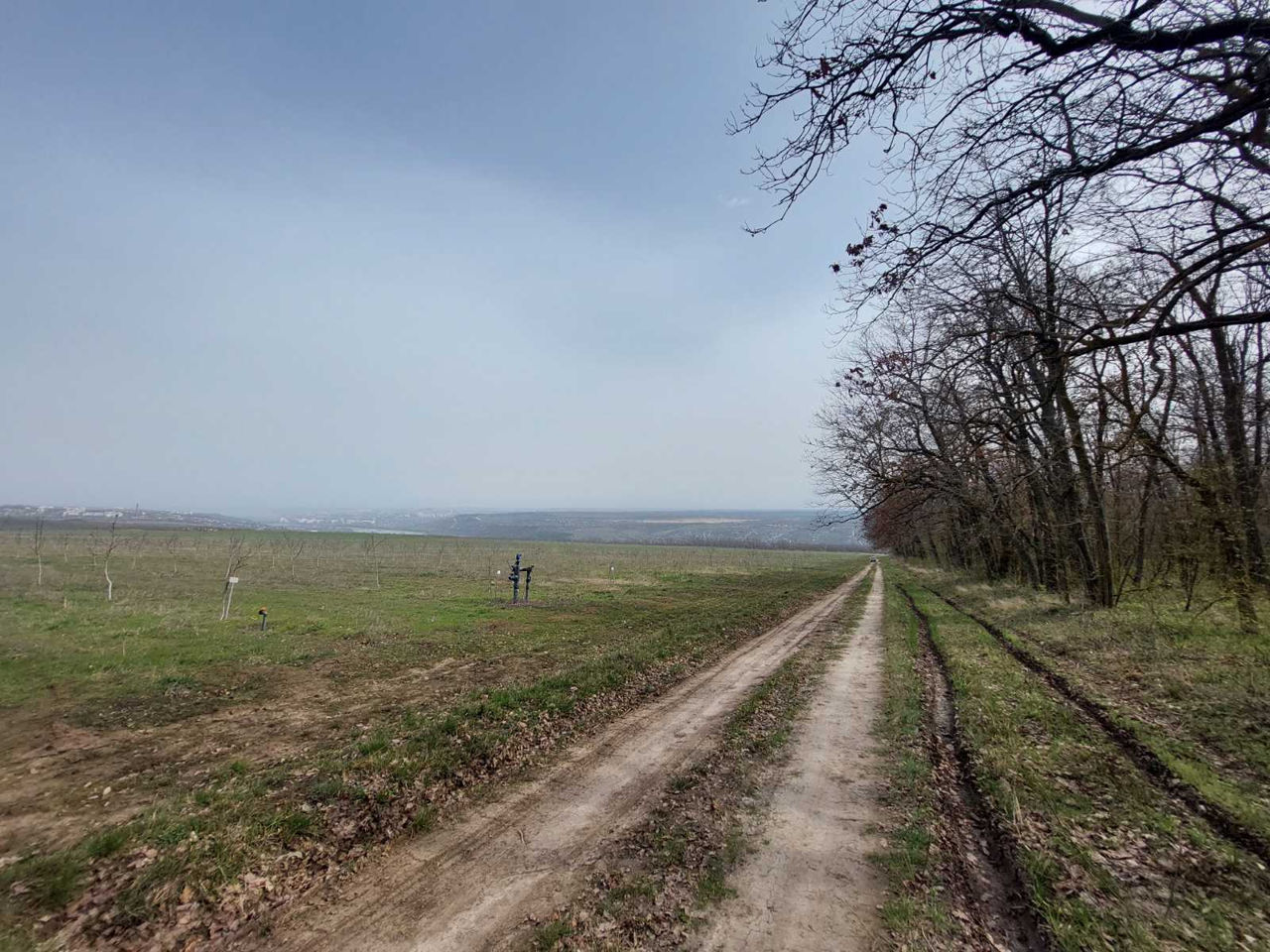 Livadă de nuci chandler, 7 ani - 11.4 ha cu sistem de irigare. foto 2