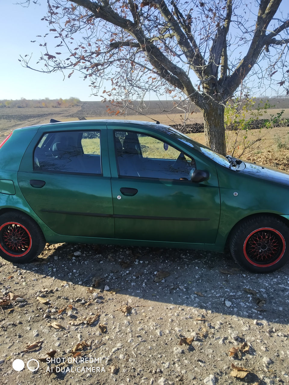 fiat-punto