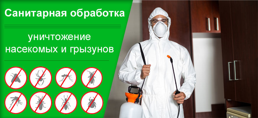 Дезинсекция, дезинфекция, дератизация в молдове (тараканы, клопы, мухи, блохи, крысы, мыши и др.) фото 1