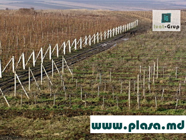 Garduri metalice in Moldova.Заборы металлические.Plasa metalica.Сетка металлическая.Eurogard.Stilpi foto 9