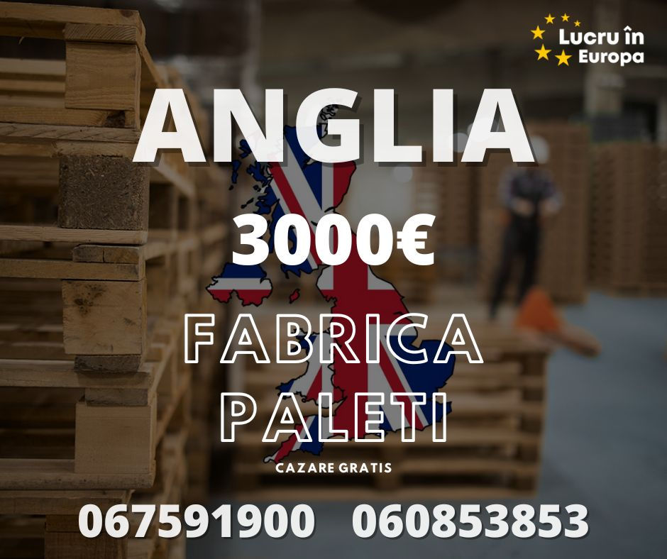 2300€ / Germania / Feliere și ambalare Piept de Pui / Plecare 26.02.2025 фото 0