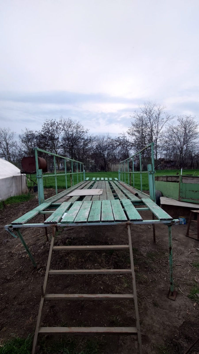 Продам пасеку. Срочно foto 3