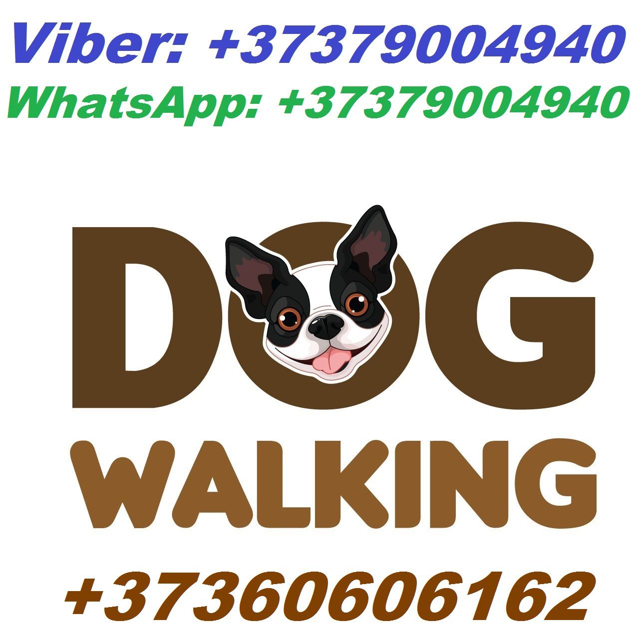 Городской сервис по выгулу собак, собака гуляка. Безопасный выгул собак. Viber WhatsApp Telegram. фото 7
