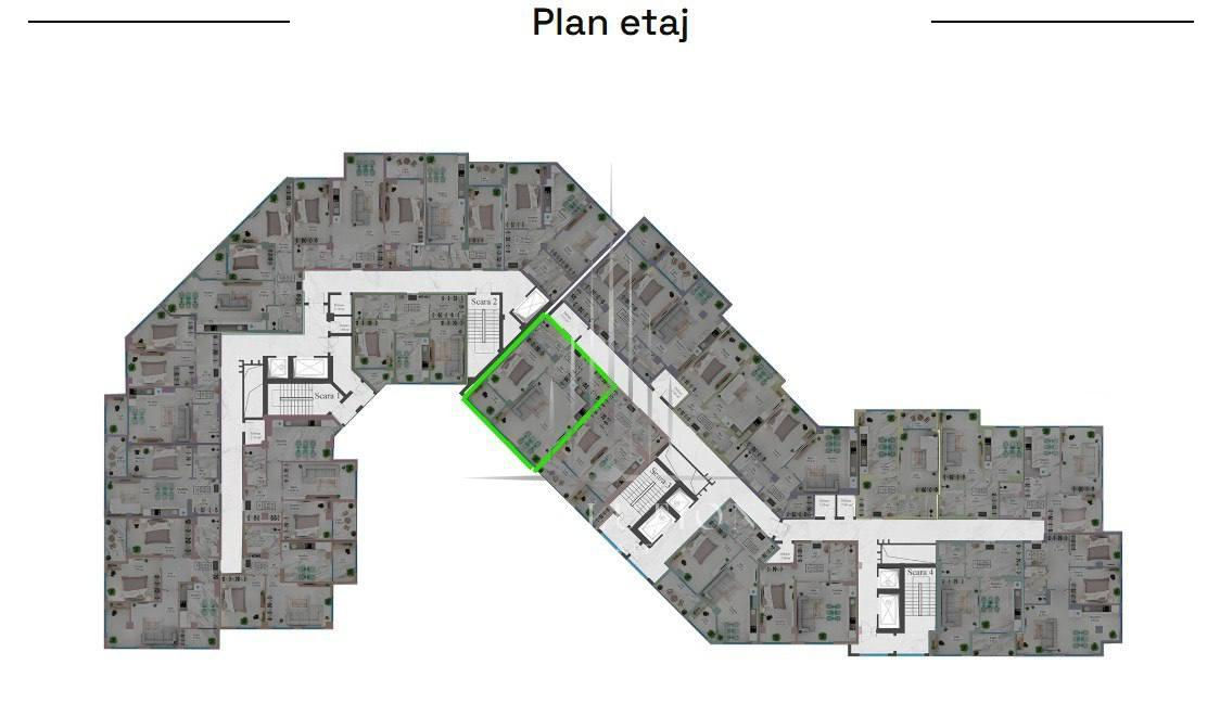 Ciocana, Ginta Latinu0103
