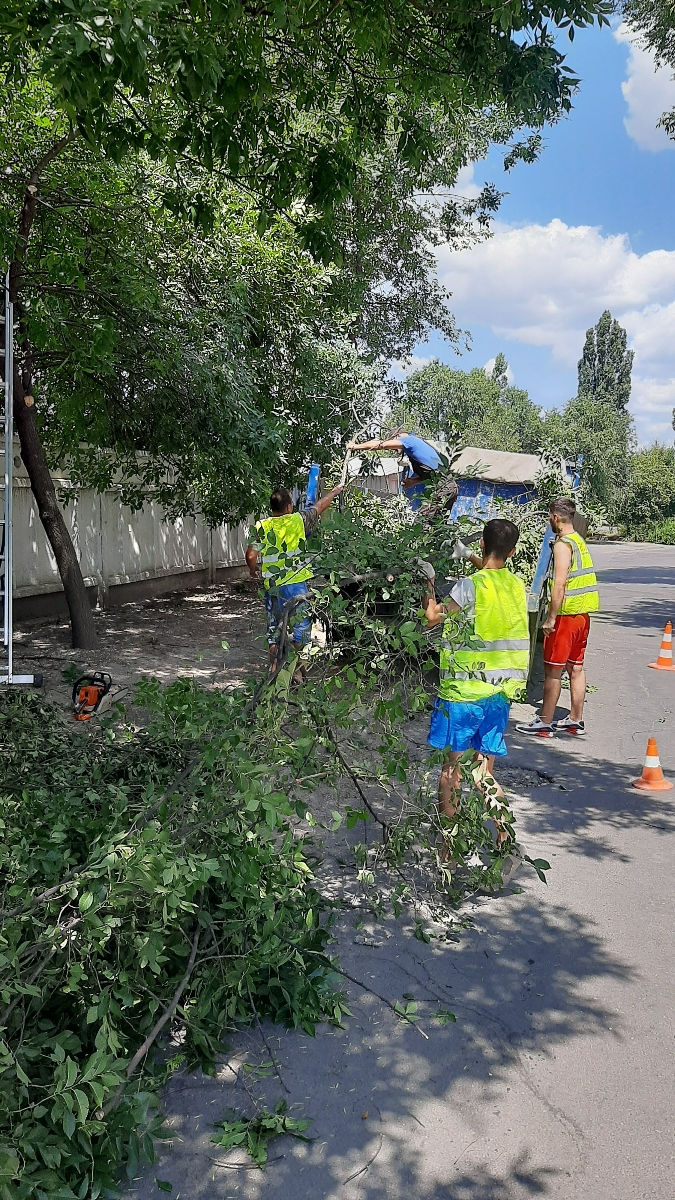 Defrișarea, curățarea copacilor, servicii autoturn foto 7