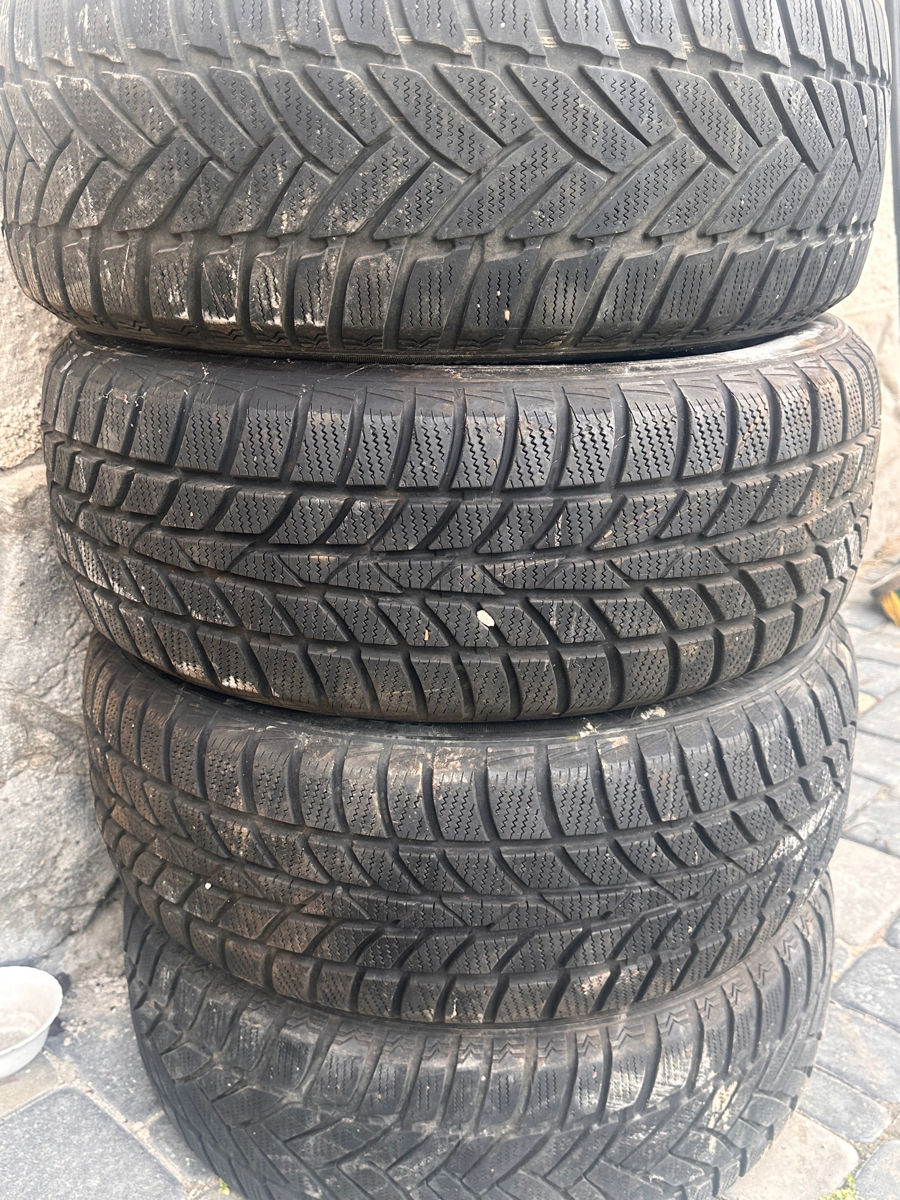 Зима Dunlop 205/55/16 foto 0