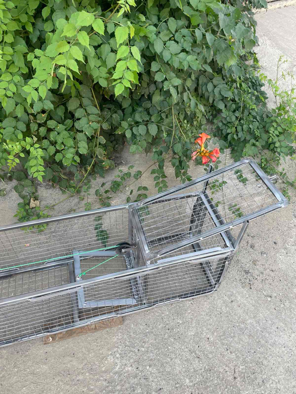 Capcană pentru un câine, o pisică. Ловушка для собаки, кошки. Живьем, без повреждений. foto 9
