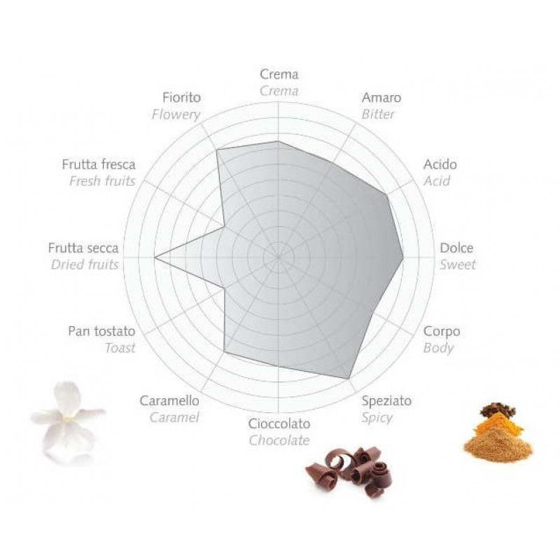 Bazzara Dodicigrancru 250 g Cafea Borcan Măcinată 12 Soiuri Arabica foto 3