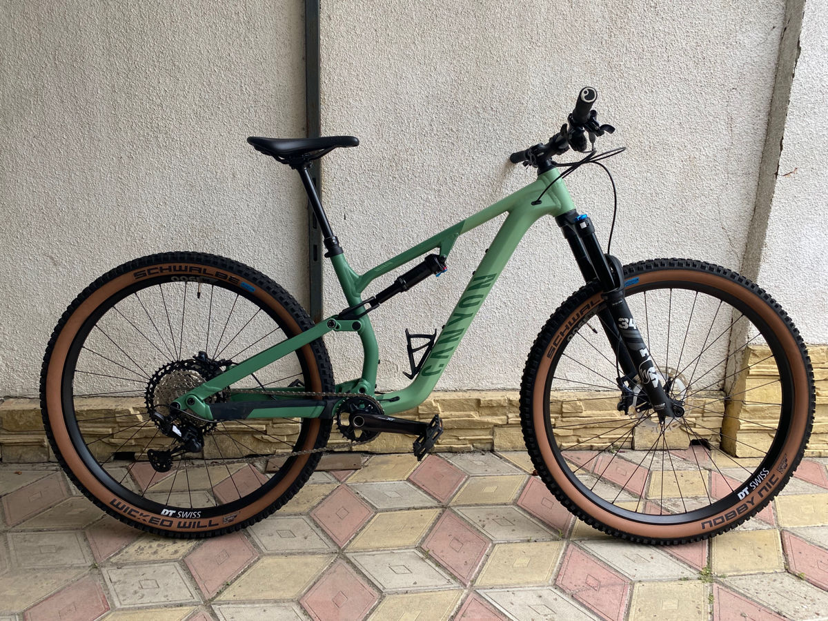 CanyonNeuron29