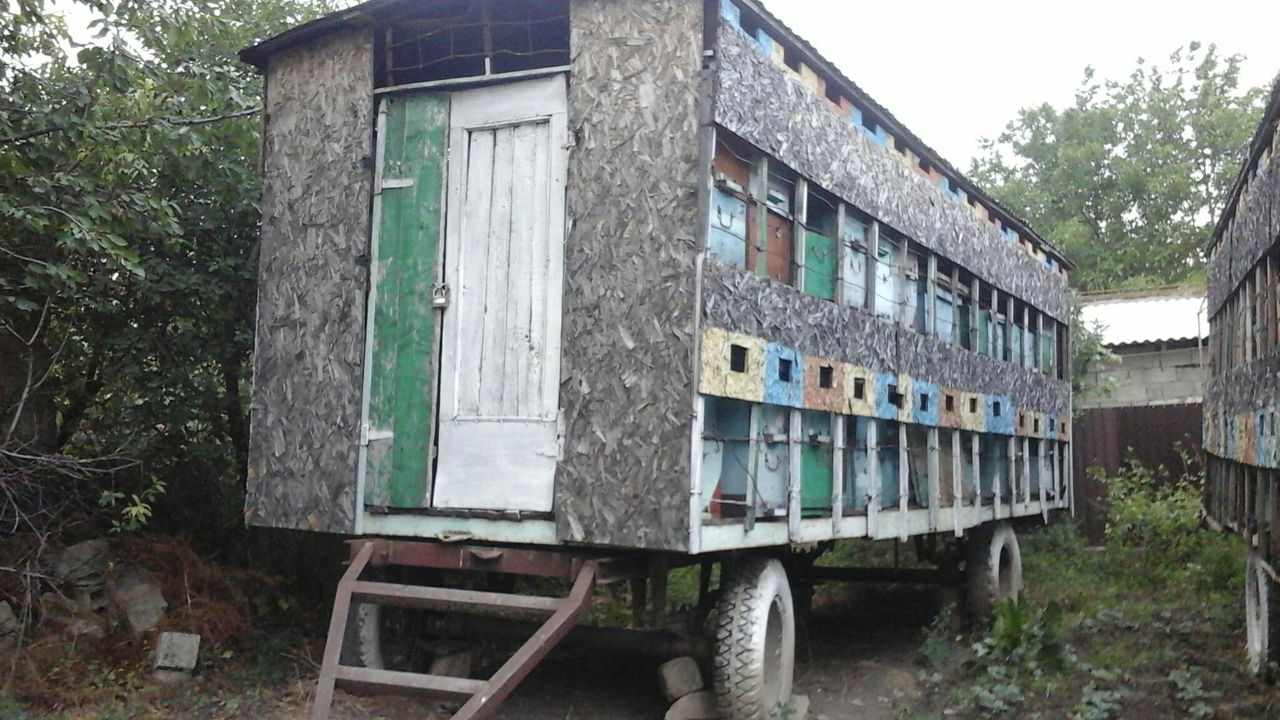 Remorcă apicolă / remorci apicole foto 5