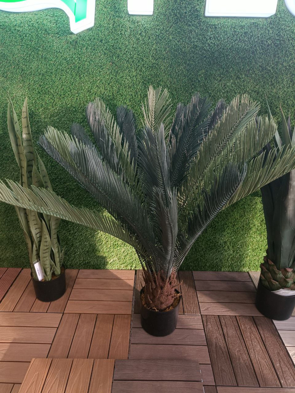 Plante decorative artificiale / Perete din plante artificiale foto 11