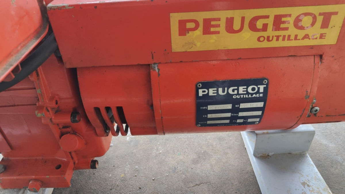 Generator Electric Peugeot 4 kW foto 1