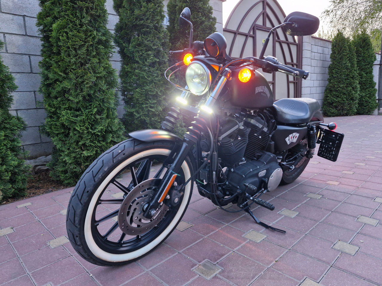 Harley - Davidson Iron 883 foto 3