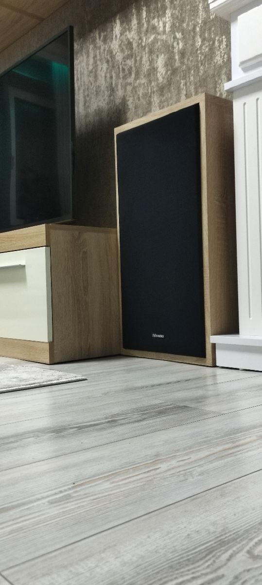  Акустика и усилитель 35 АС-1 (S 90)  Radiotehnika foto 8