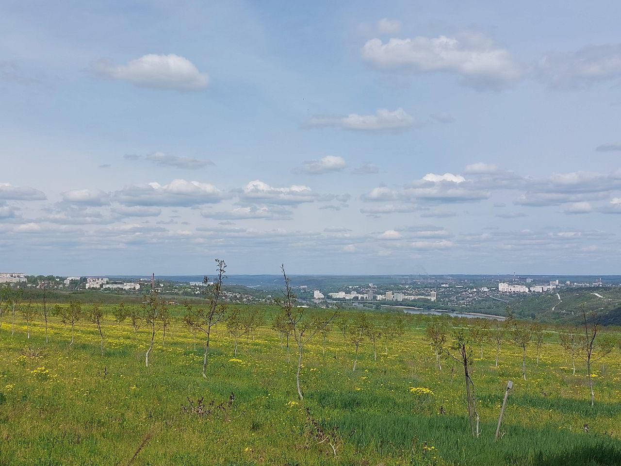 Livadă de nuci chandler, 7 ani - 11.4 ha cu sistem de irigare. foto 6
