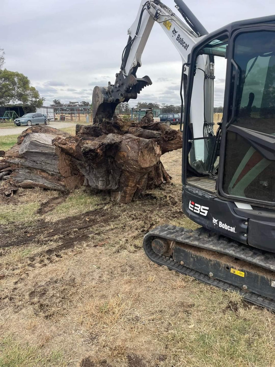 Bobcat excavator basculante gama de intrumente foto 10