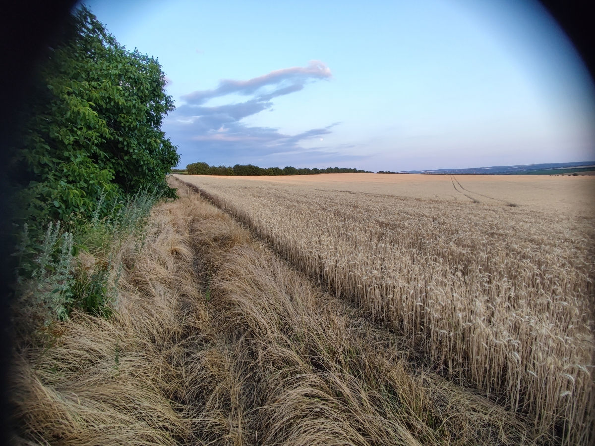 Cota 1.90Ha Bubuieci Urgent foto 1