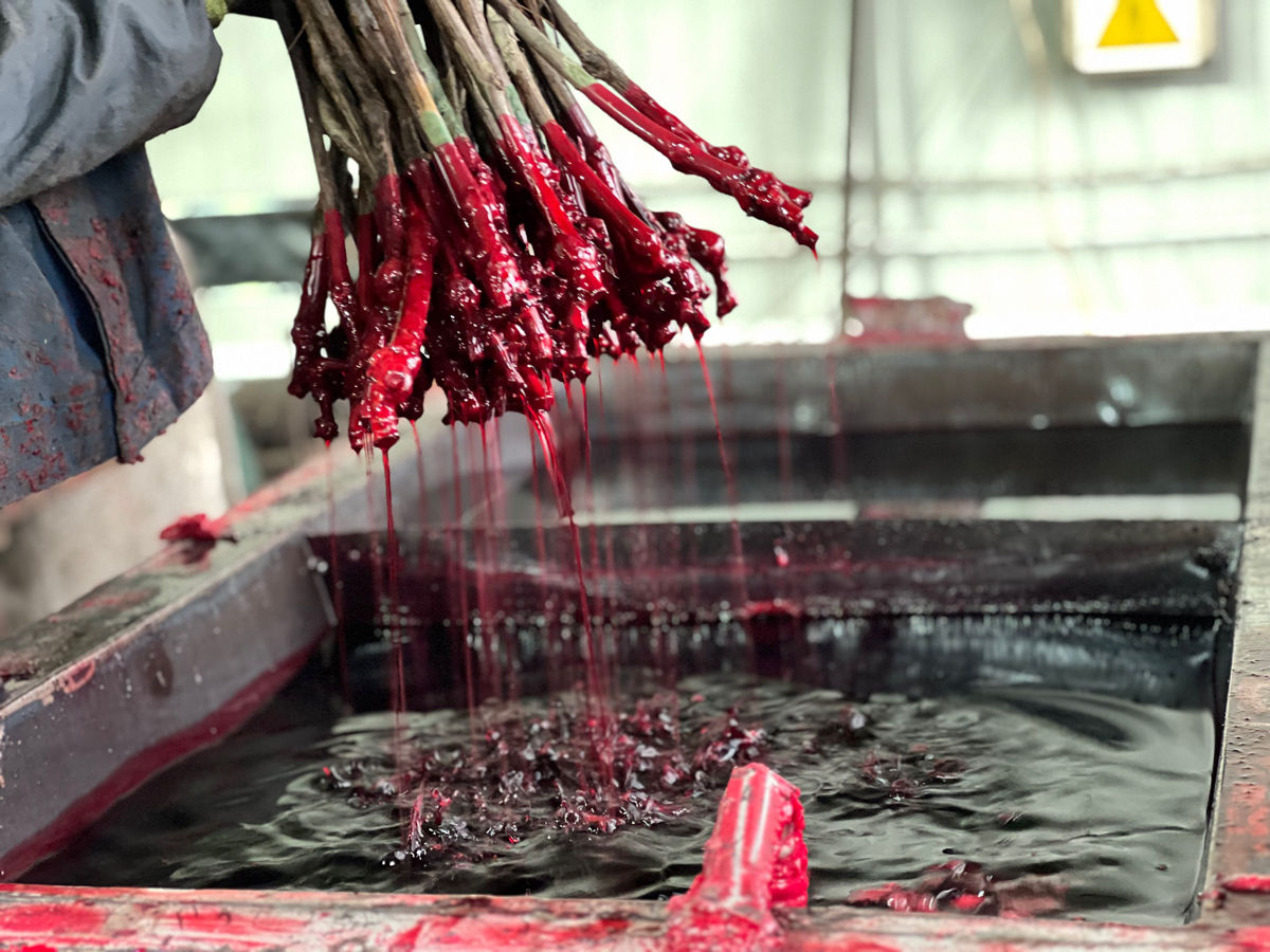 Butasi vita de vie foto 2