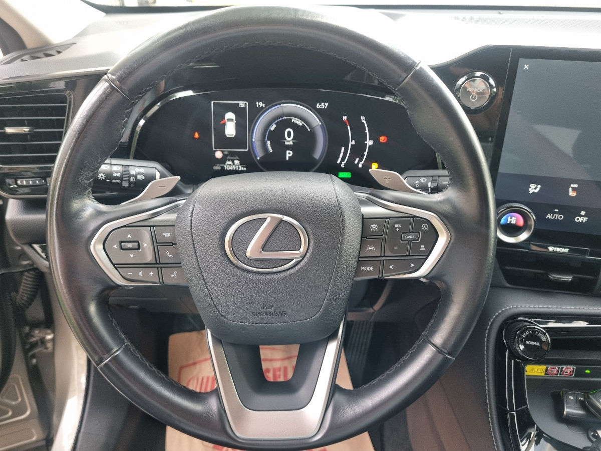 Lexus NX Series 2022 photo 16