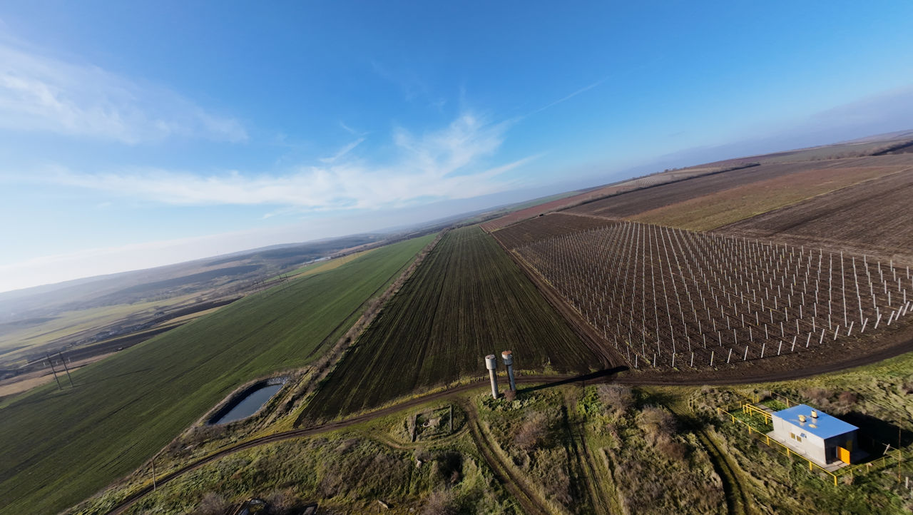 Vanzare Teren Agricol Ferma Depozit Arteziana 380v Bazin foto 4