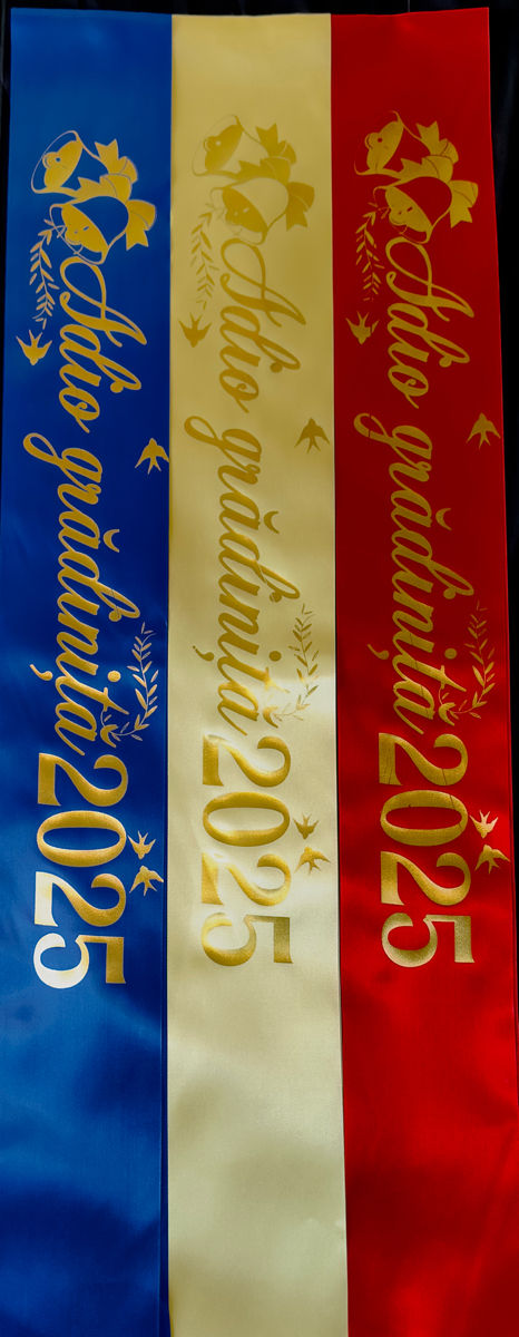 Panglici Absolvent/Выпускник 2025 foto 10