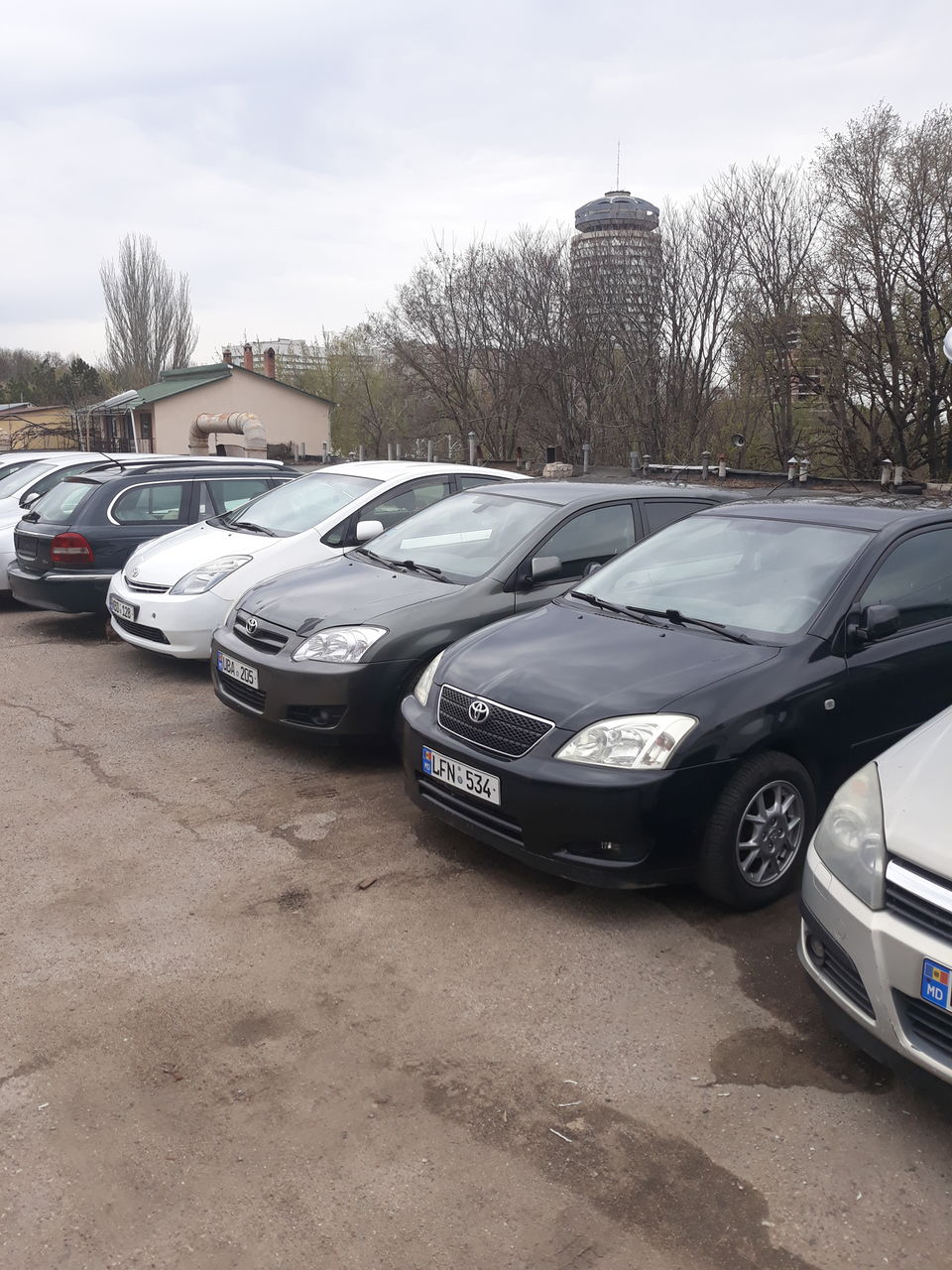 Прокат авто недорого