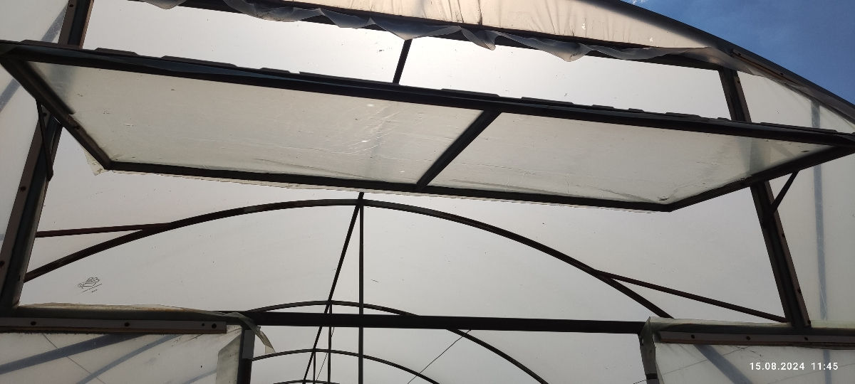 Vând afacere cu sere la cheie in laloveni,
s.Suruceni. foto 3