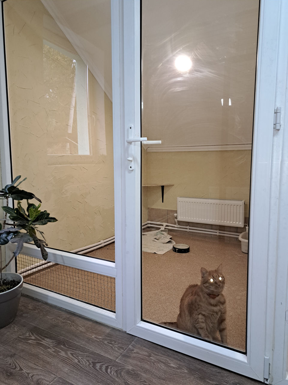 Clinica veterinara  "Kot i Pes"- pana 24-00 !!! Hotel pentru animal! foto 2