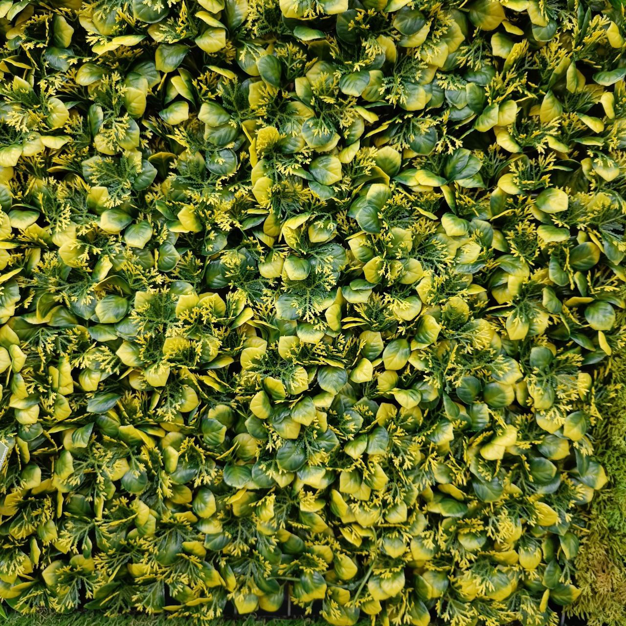Perete din plante artificiale foto 16