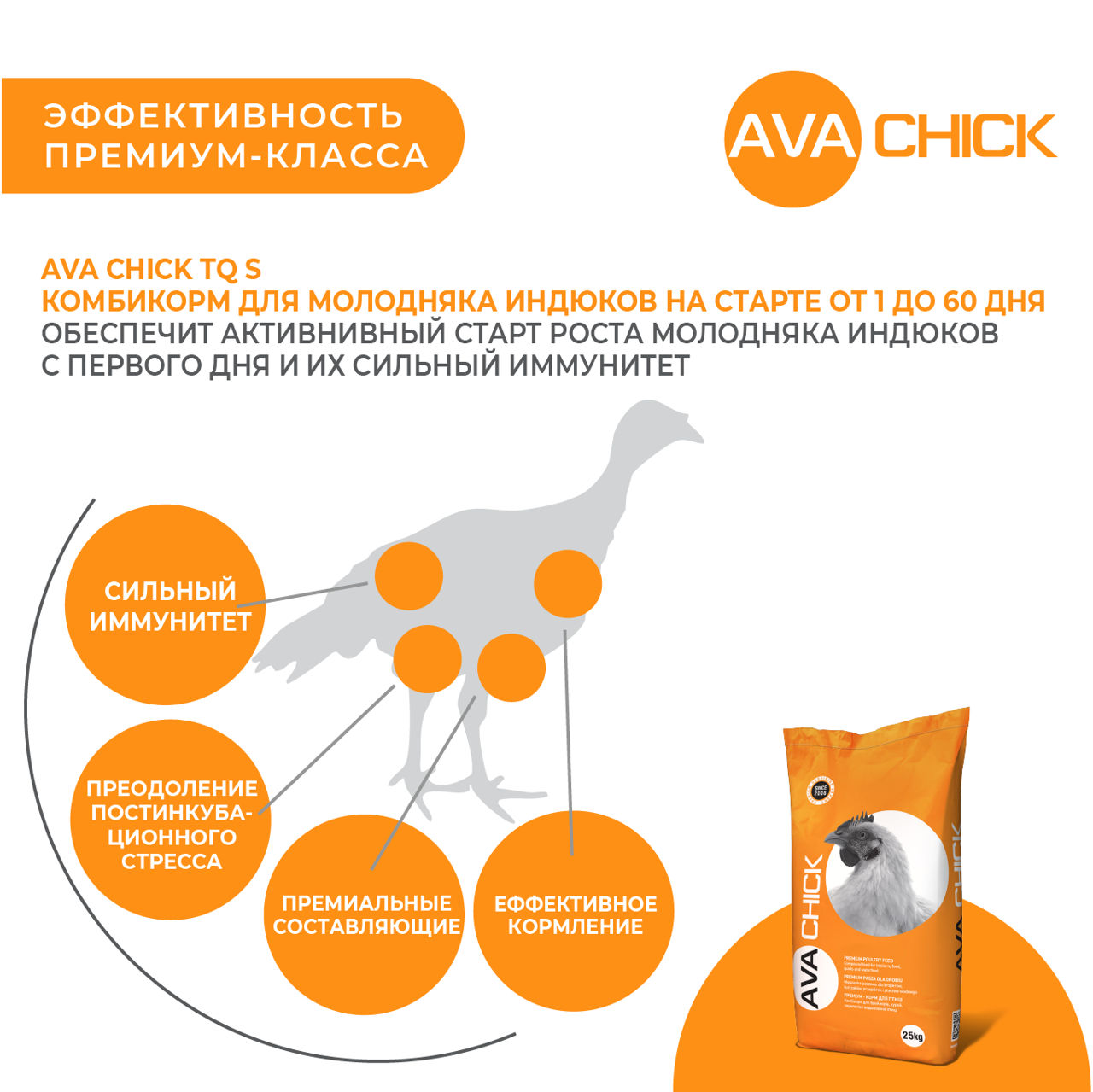 AVA CHICK TQ S - СТАРТОВЫЙ КОМБИКОРМ ДЛЯ ИНДЮШАТ foto 2