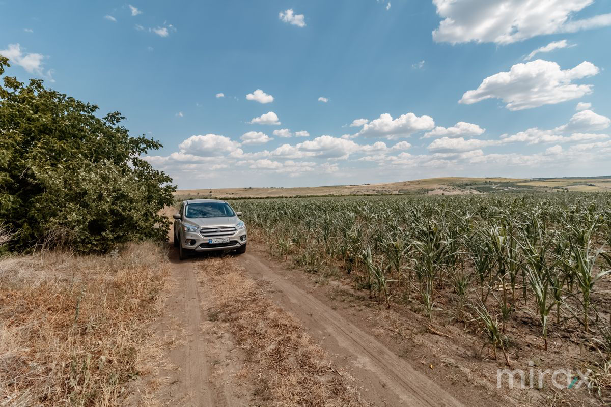 Spre vânzare teren, destinație agricolă amplasat în s. Sângera foto 6