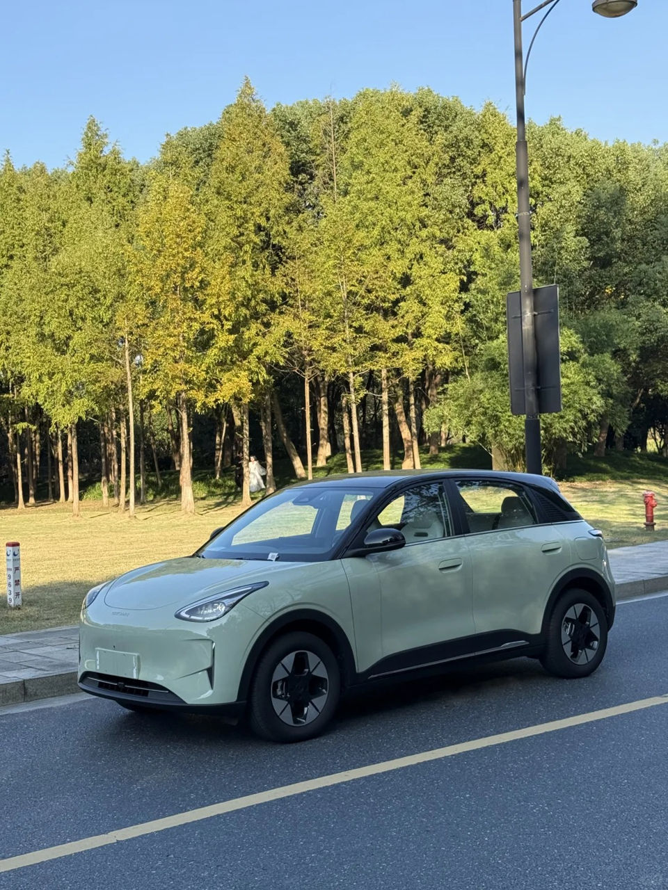 Geely Geome Xingyuan фото 1