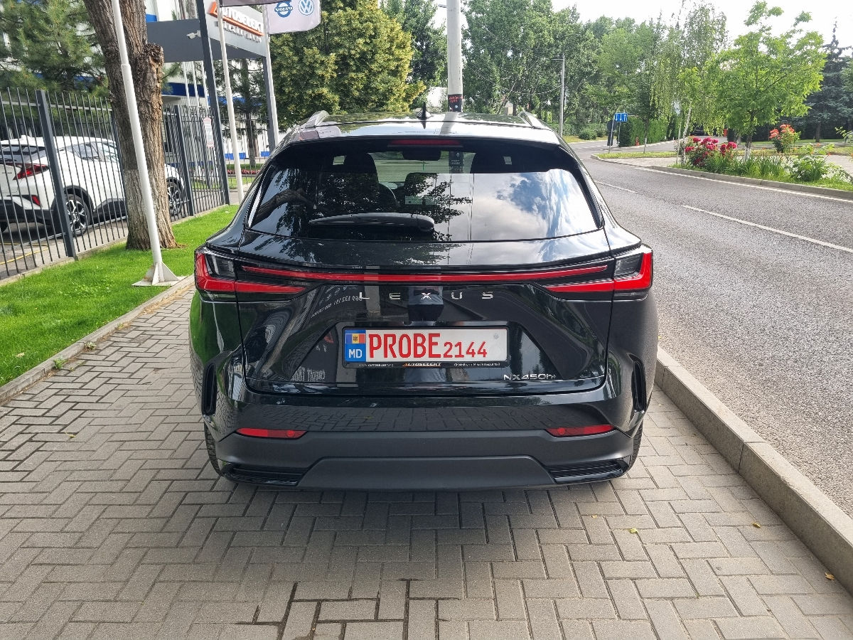 Lexus NX Series 2022 photo 6
