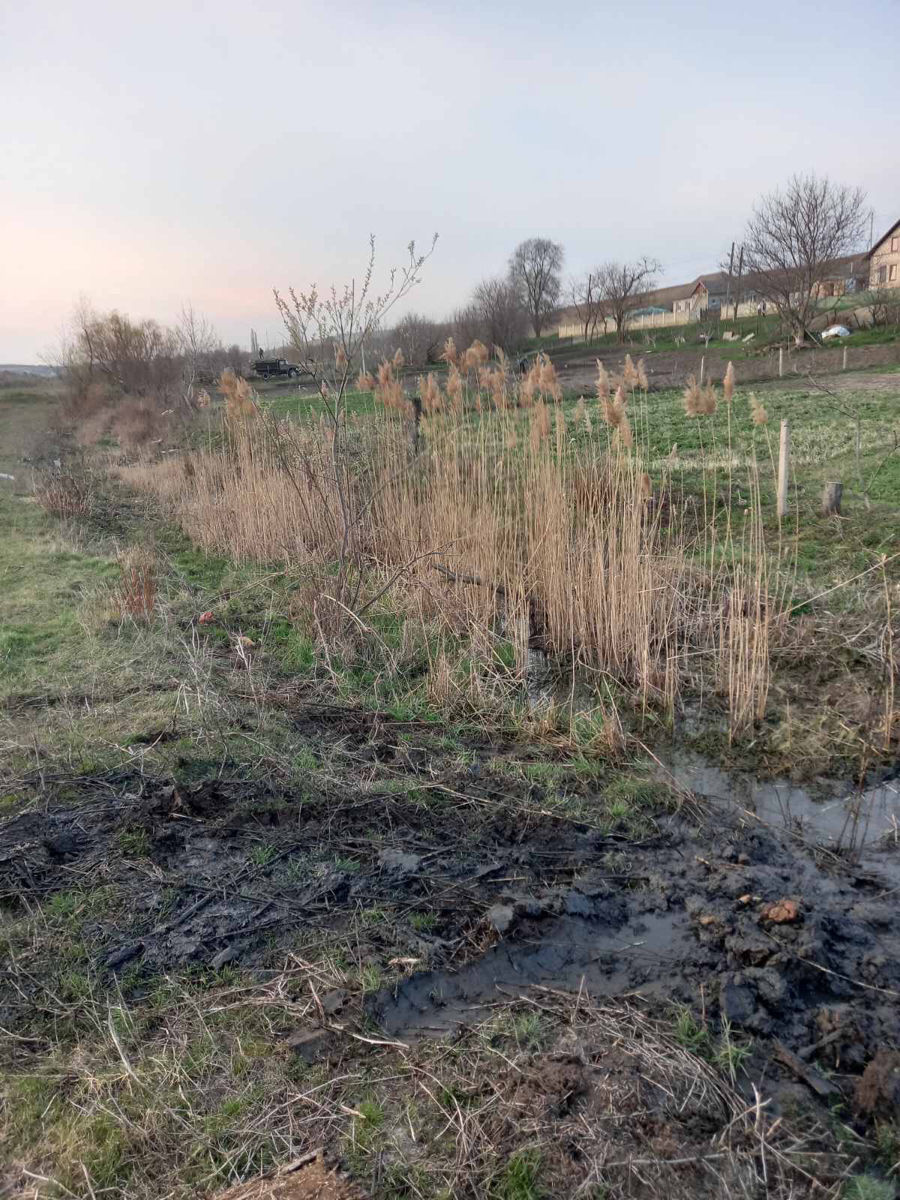 Curatire canale / drenaje foto 2