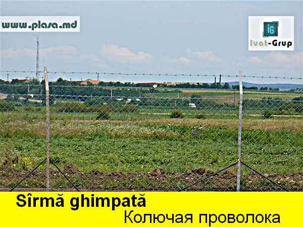 Колючая проволока в Молдове,сетка  металлическая в Молдове,заборы,сварные панели,столбы ж/бетонные фото 2
