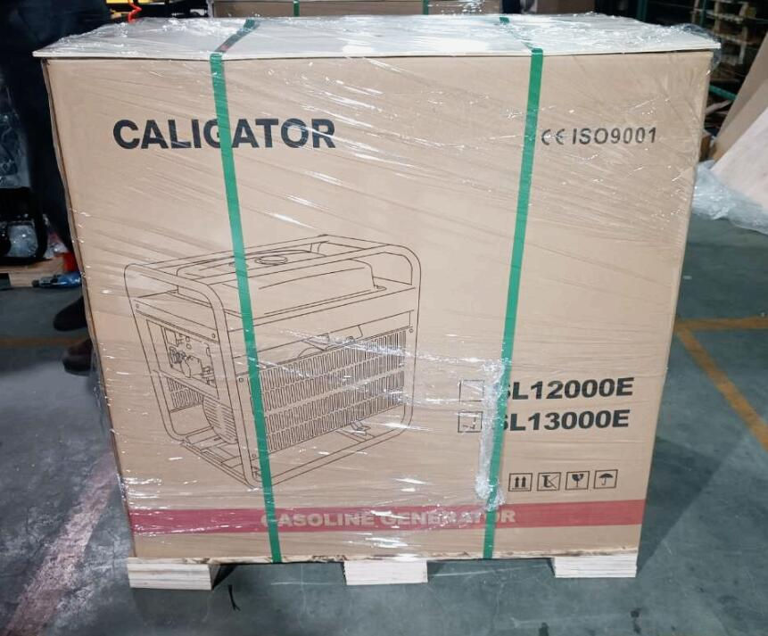 Generator pe benzină Caligator SL13000E - 12.0/13.0Kw foto 4