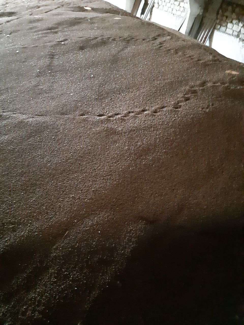 Griu