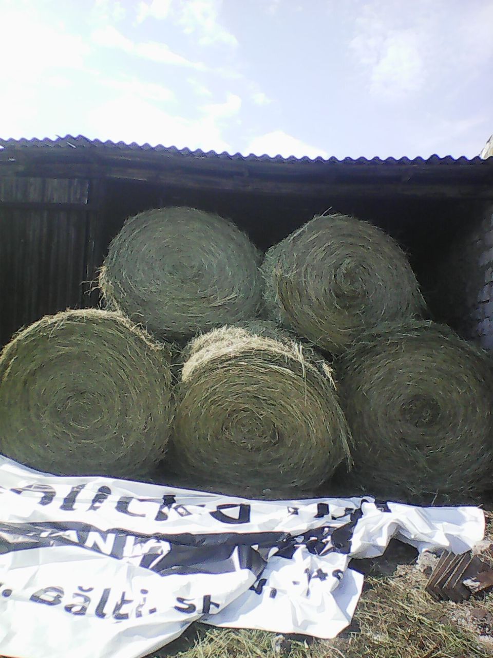 сено луговое в тюках